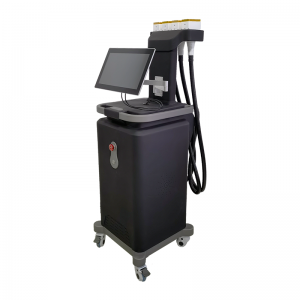 Vertical 1060nm Diode Laser Weight Loss Body Slimming Equipment