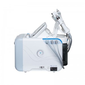 All In One Microdermabrasion Black Head Removal Vacuum Facials Machine