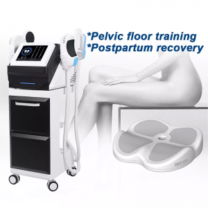 Portable 13 tesla pelvic 4handles Hiemt PRO EMS Muscle Sculpting Machine