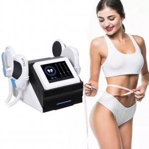 Professional Body Electric Muscle Stimulator EMS Machines For Sale