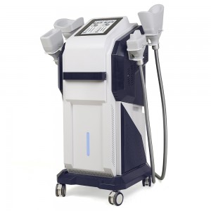 Freeze Sculpting Cryolipolysis Fat Freezing Weight Loss Machine Slimming Beauty Equipment