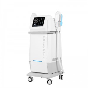 Weight Loss EMS Pelvic Training Muscle Stimulation EMS Slimming Price