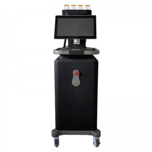 Vertical 1060nm Diode Laser Weight Loss Body Slimming Equipment